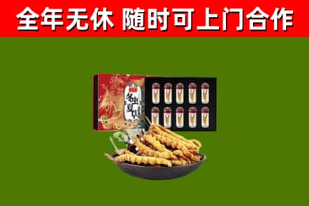 绵阳烟酒回收冬虫夏草礼盒.jpg